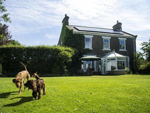 Dowfold House Bed And Breakfast Crook  Eksteriør billede
